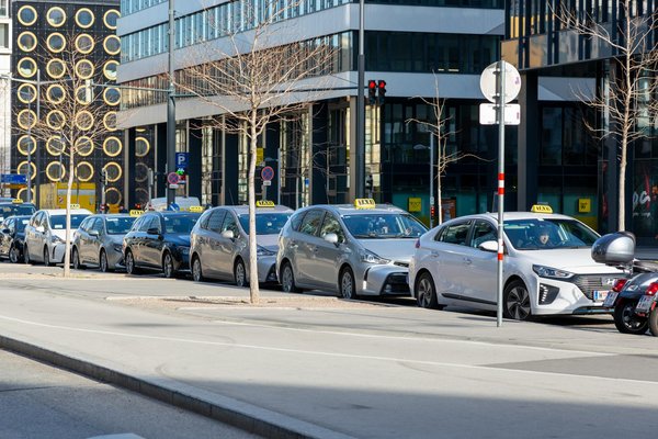 Conséquences alarmantes de la déforestation sur la santé humaine : un lien essentiel à ne pas négliger